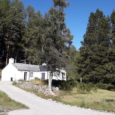 Torgoyle Cottage Inverness Buitenkant foto